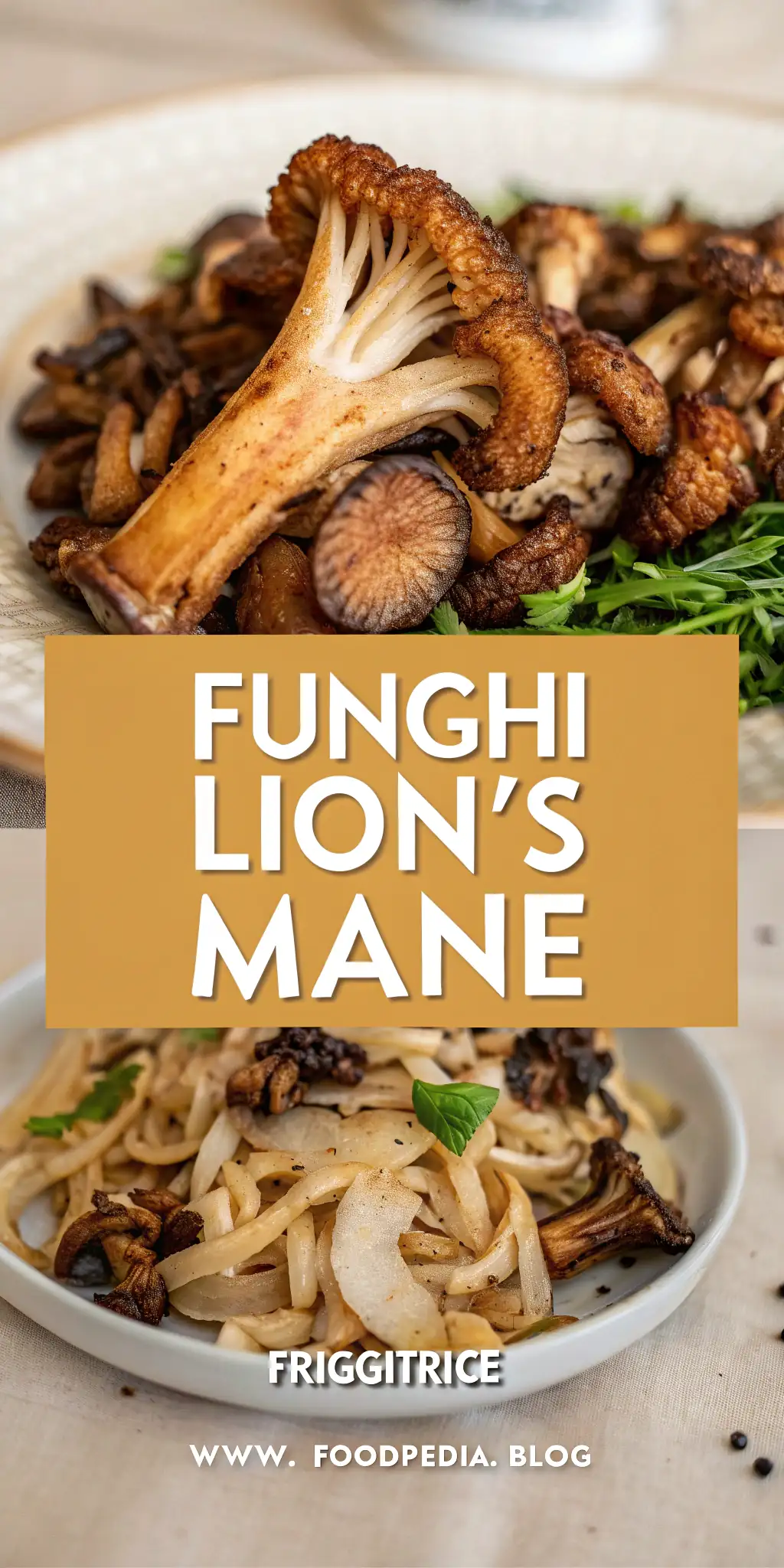 Pinterest image 2 for Funghi Lion's Mane in Friggitrice ad Aria